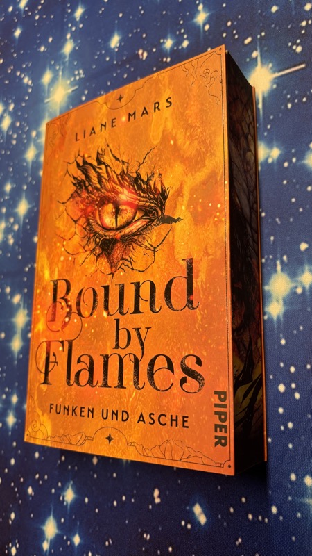 Bound by Flames: Funkeln und Asche