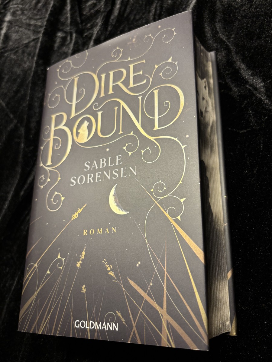 Dire Bound