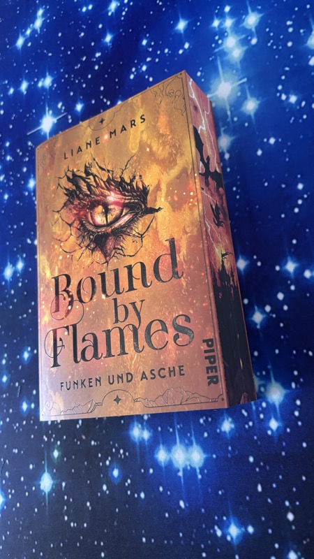 Bound by Flames: Funken und Asche