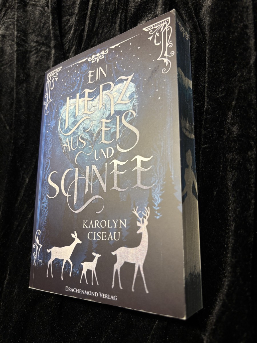 Ein Herz aus Eis und Schnee